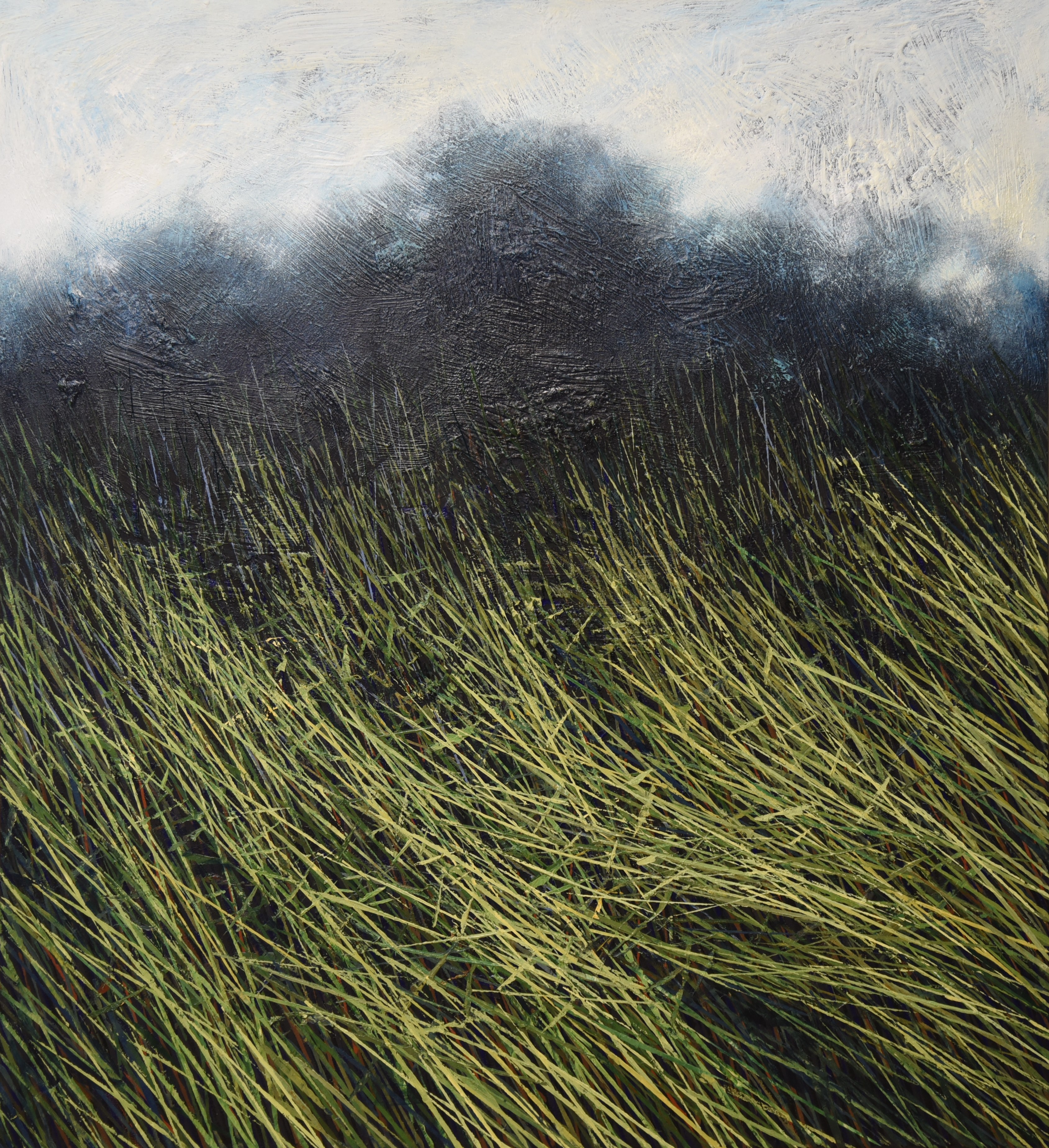 ALEXANDAR ZAFIROVSKY (1984) - DEEP IN THE GRASS